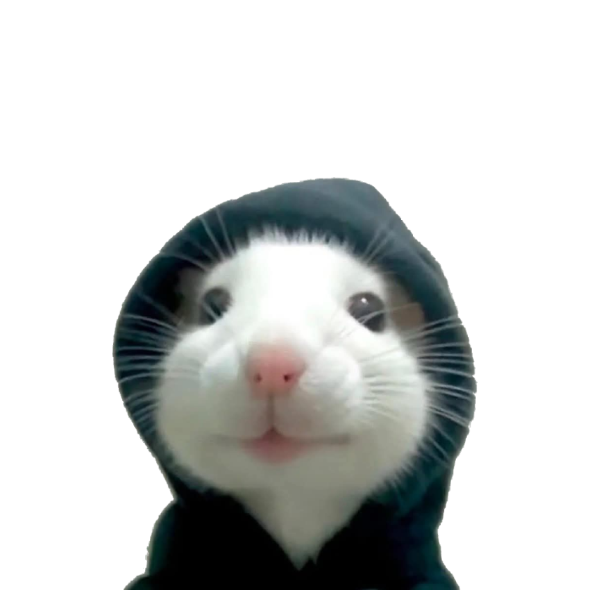 mouse